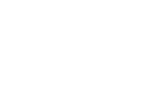 Weißer „BOUDIER LOGISTICS“-Schriftzug auf dunkelgrünem Hintergrund.