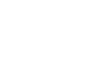 BOUDIER LOGISTICS-Logo in Weiß auf dunklem Grünton.